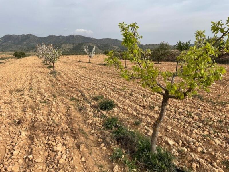 Country House for sale