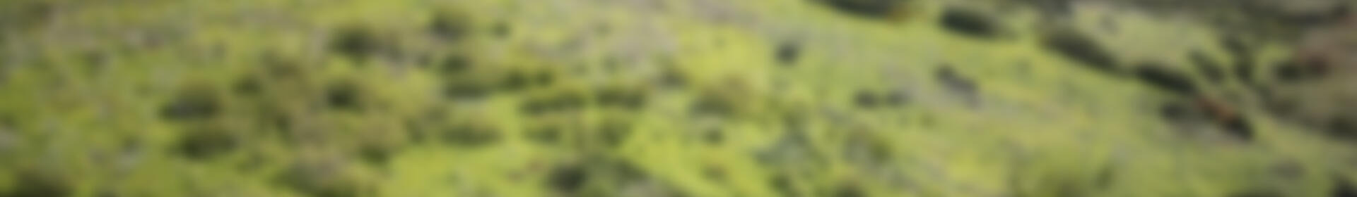 Landhaus zu verkaufen