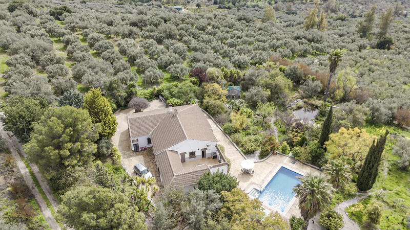 5 спальная комната вилла продается