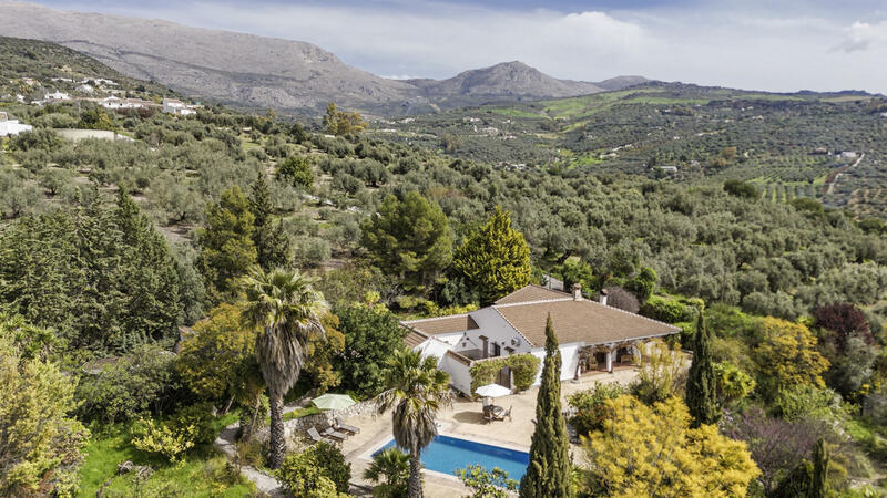 5 спальная комната вилла продается