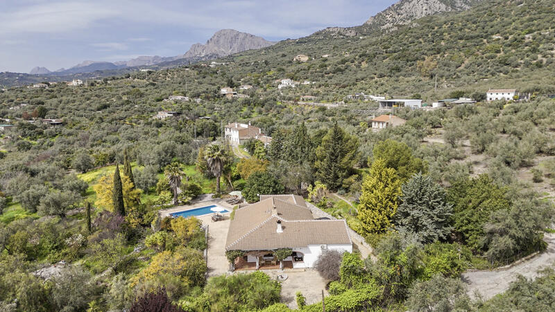 5 спальная комната вилла продается