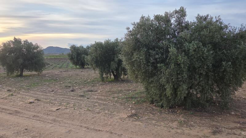 Country House for sale Country House for sale