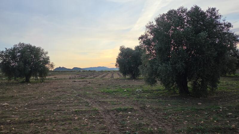 Country House for sale Country House for sale