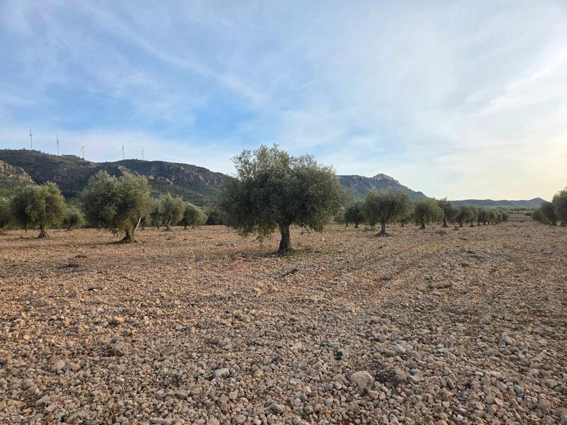 Country House for sale Country House for sale