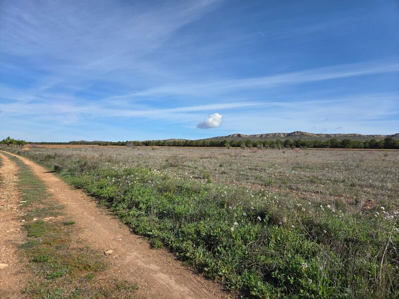 Country House for sale Country House for sale