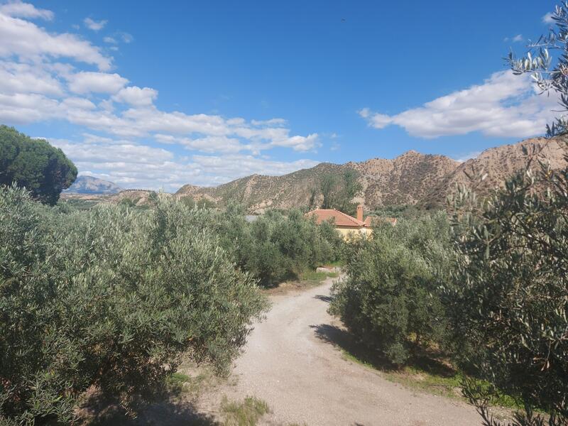 1 bedroom Country House for sale