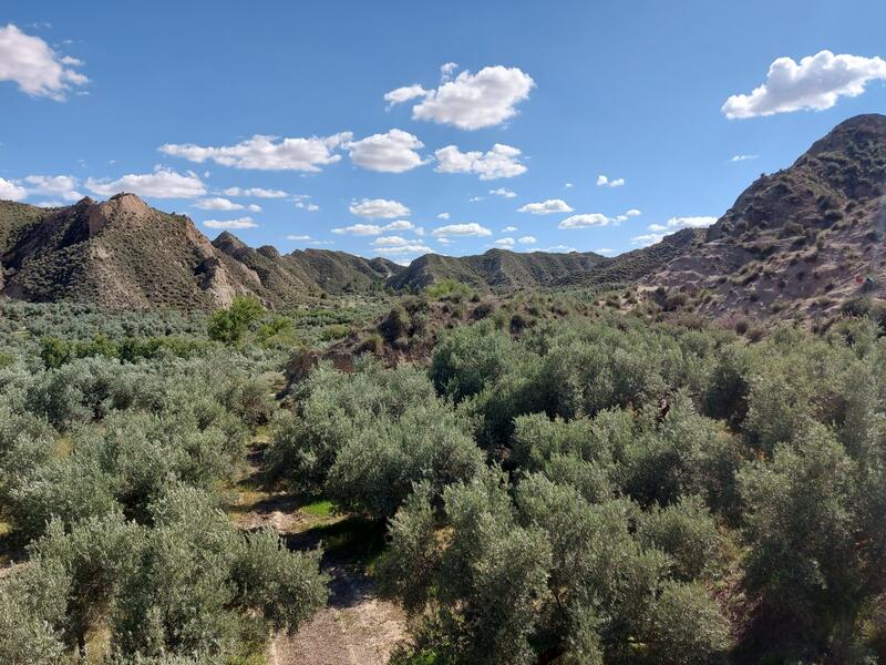 1 bedroom Country House for sale