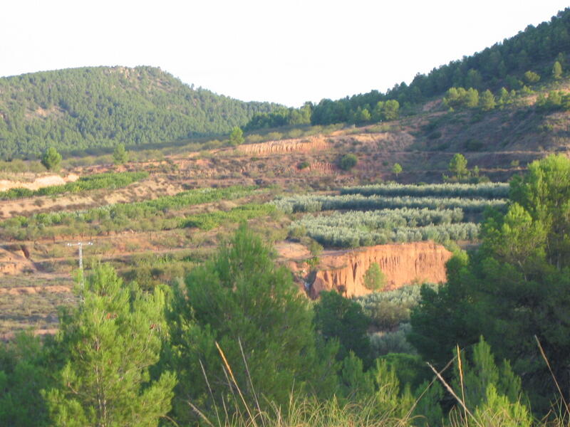 Lantställe till salu Lantställe till salu