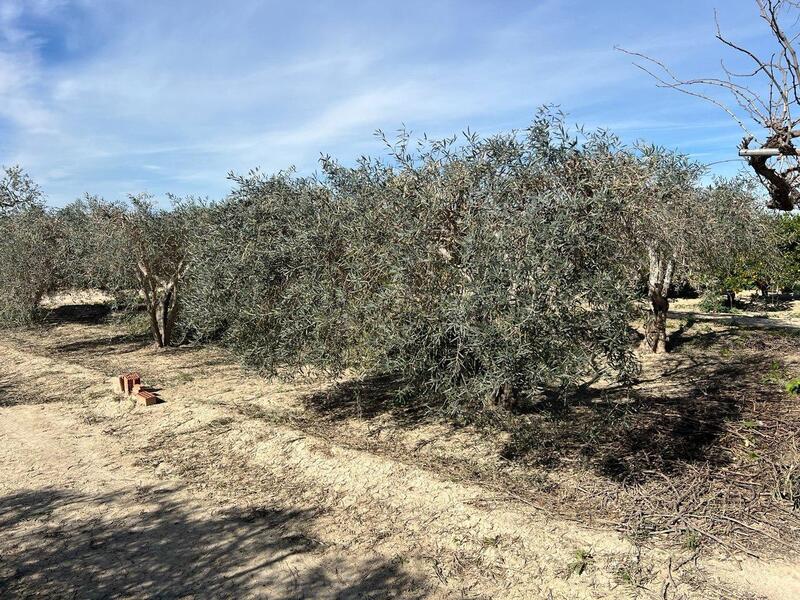 1 bedroom Country House for sale