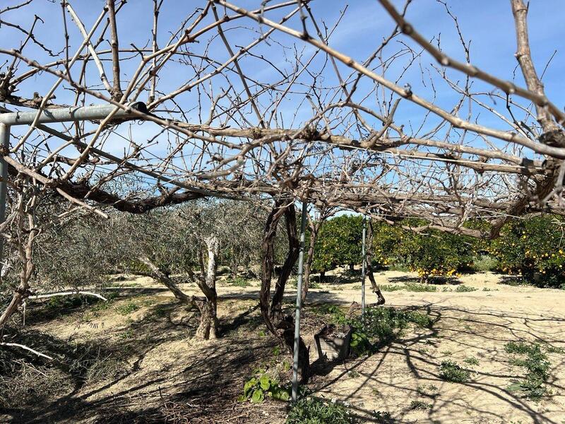 1 bedroom Country House for sale