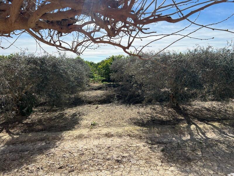 1 bedroom Country House for sale