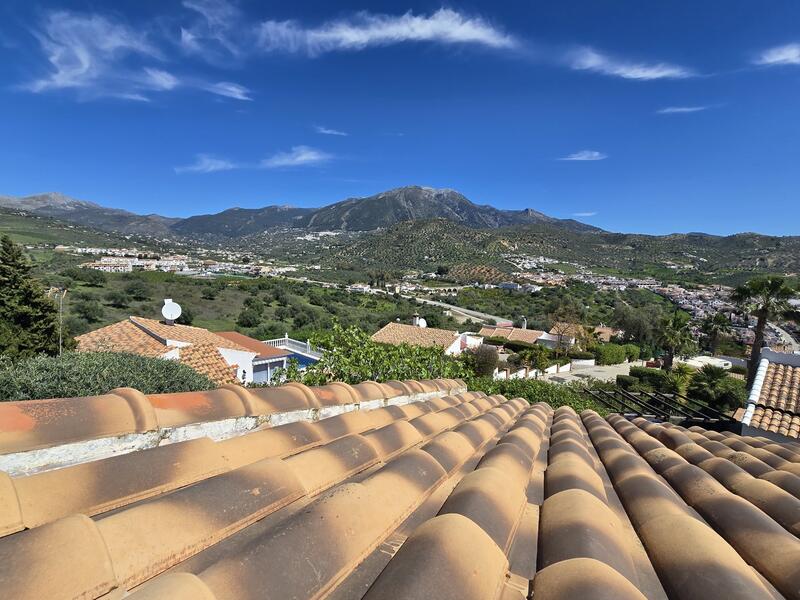 3 Cuarto Villa en venta