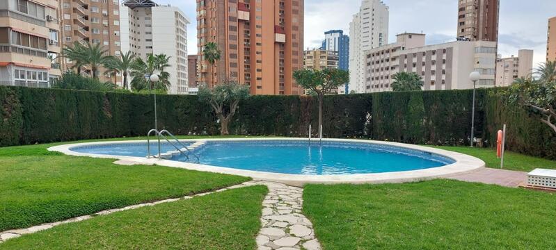 квартира продается в Benidorm, Alicante квартира продается в Benidorm, Alicante
