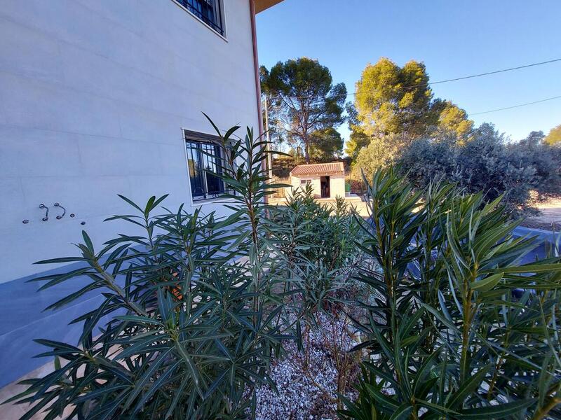 4 Cuarto Villa en venta