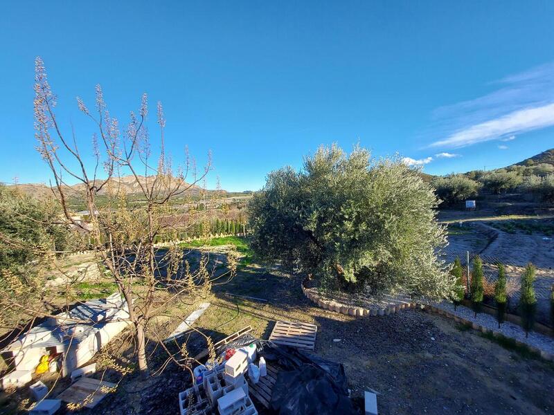 4 Cuarto Villa en venta