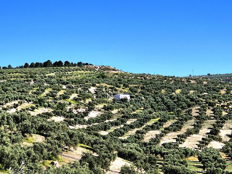 3 sovrum Lantställe till salu