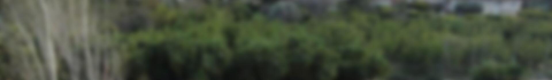 6 soverom Herregård til salgs