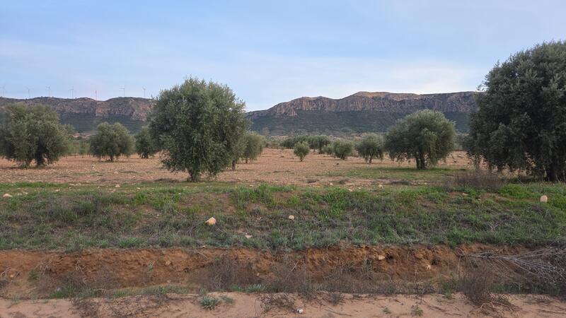Casa de Campo en venta