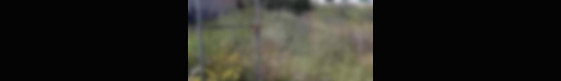 Casa de Campo en venta