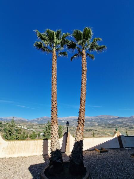 6 bedroom Villa for sale 6 bedroom Villa for sale