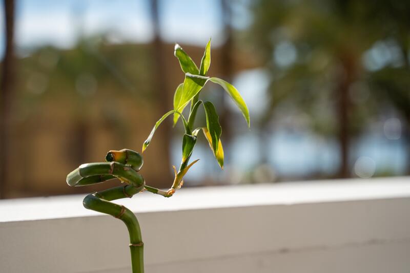 2 soverom Leilighet til salgs