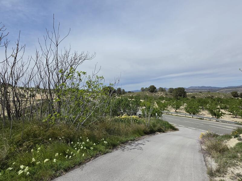 2 bedroom Country House for sale