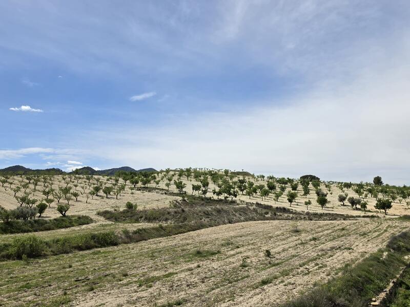 2 bedroom Country House for sale