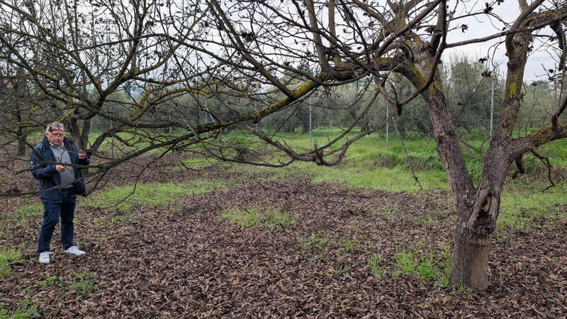 Herregård til salgs