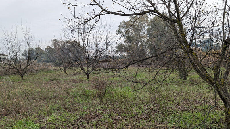 Herregård til salgs