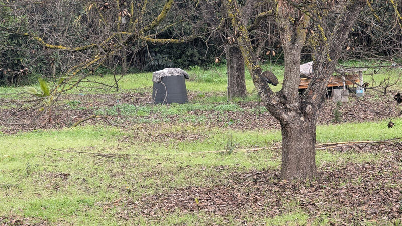 Herregård til salgs