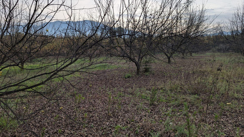 Herregård til salgs