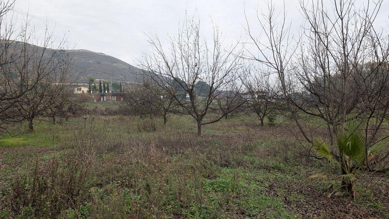 Herregård til salgs