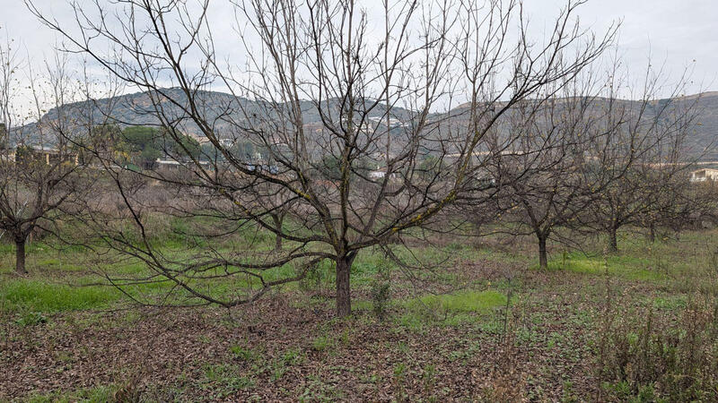 Herregård til salgs