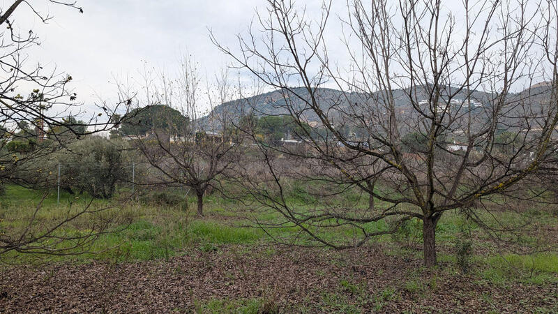 Herregård til salgs