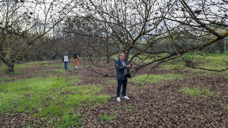 Herregård til salgs