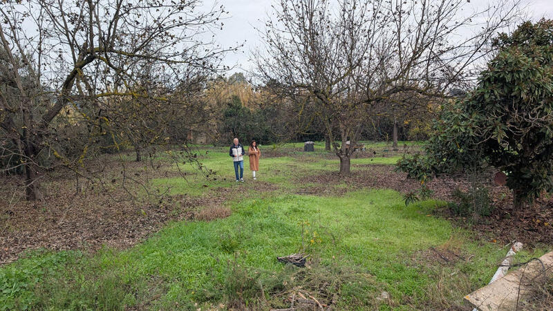 Herregård til salgs