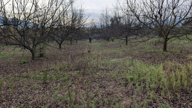Herregård til salgs