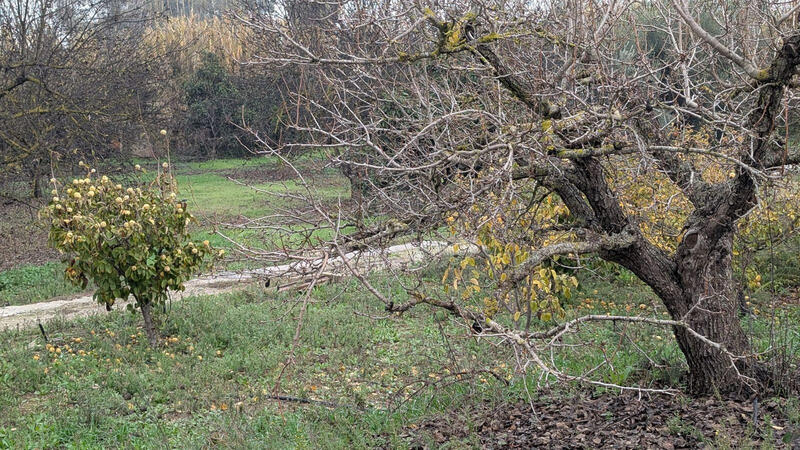 Herregård til salgs