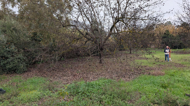 Herregård til salgs