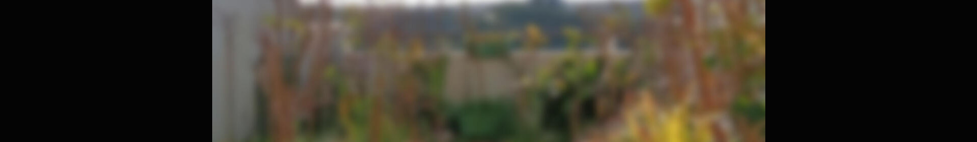 1 chambre Appartement à vendre