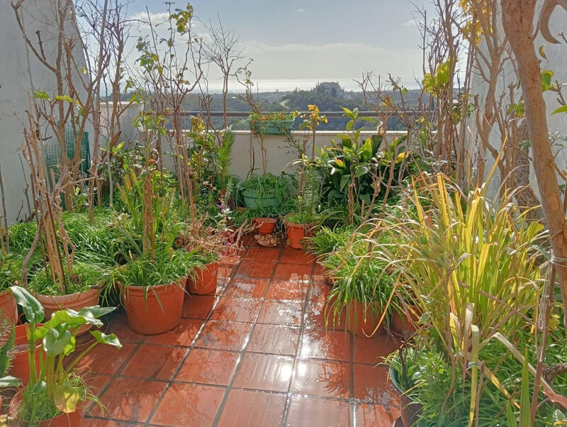 1 bedroom Apartment for sale 1 bedroom Apartment for sale