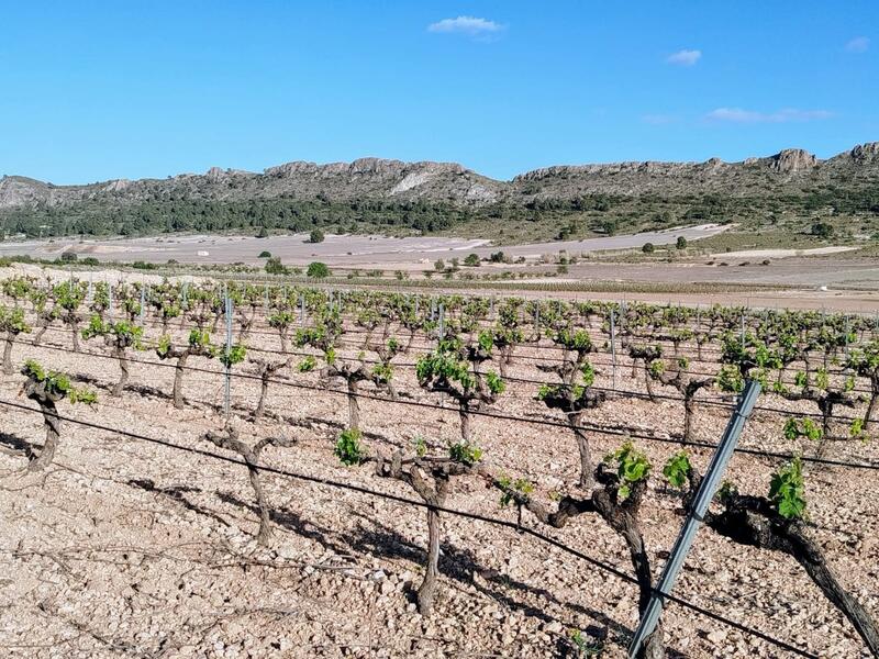 3 bedroom Country House for sale