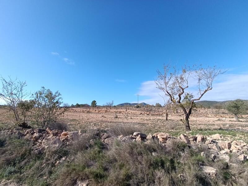 2 chambre Autre à vendre