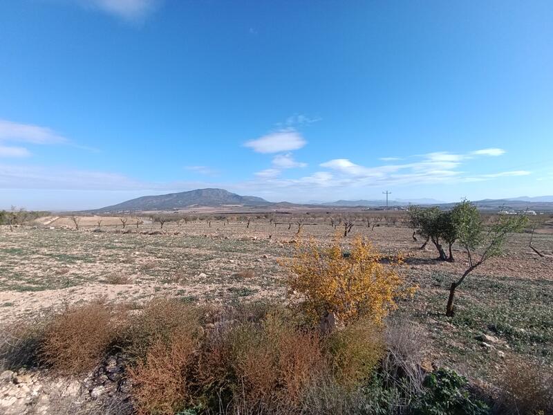 2 chambre Autre à vendre