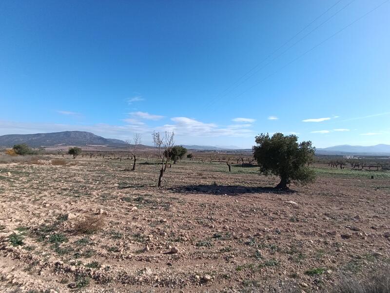 2 chambre Autre à vendre