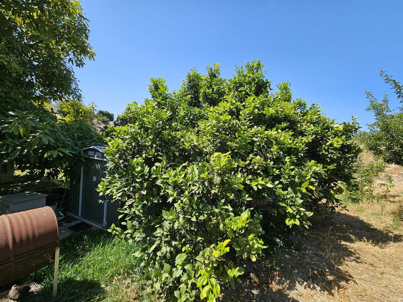 2 soverom Villa til salgs 2 soverom Villa til salgs