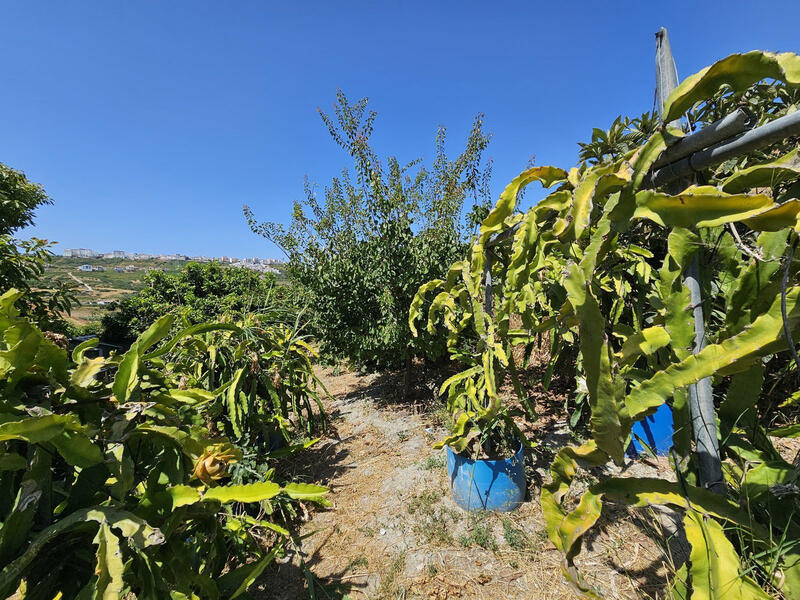 2 soverom Villa til salgs 2 soverom Villa til salgs