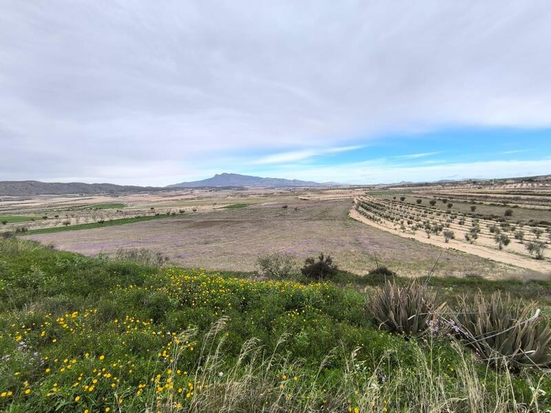 6 bedroom Country House for sale