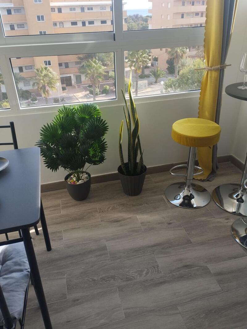 2 slaapkamer Appartement Te koop