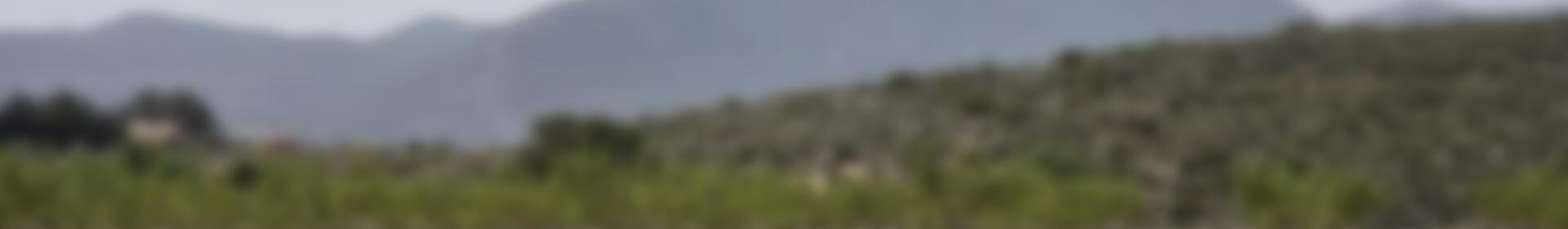 Country House for sale